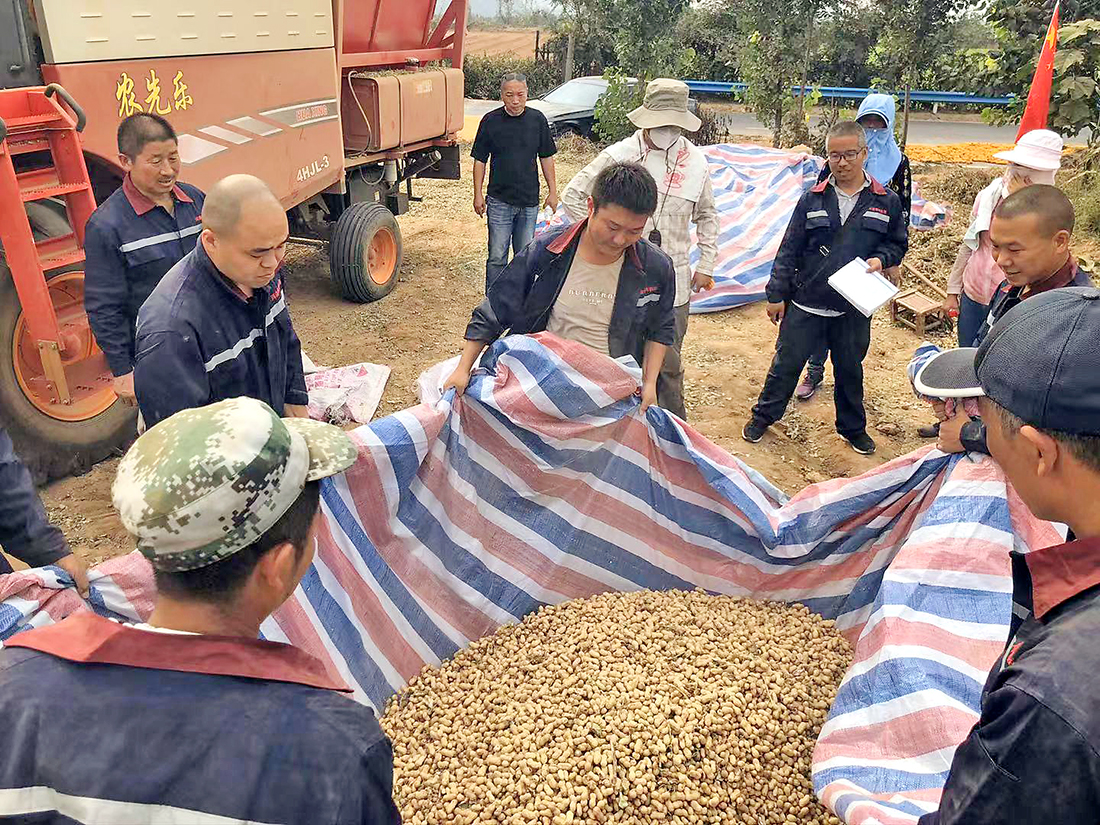 4HJL-3型自走式花生撿拾收獲機